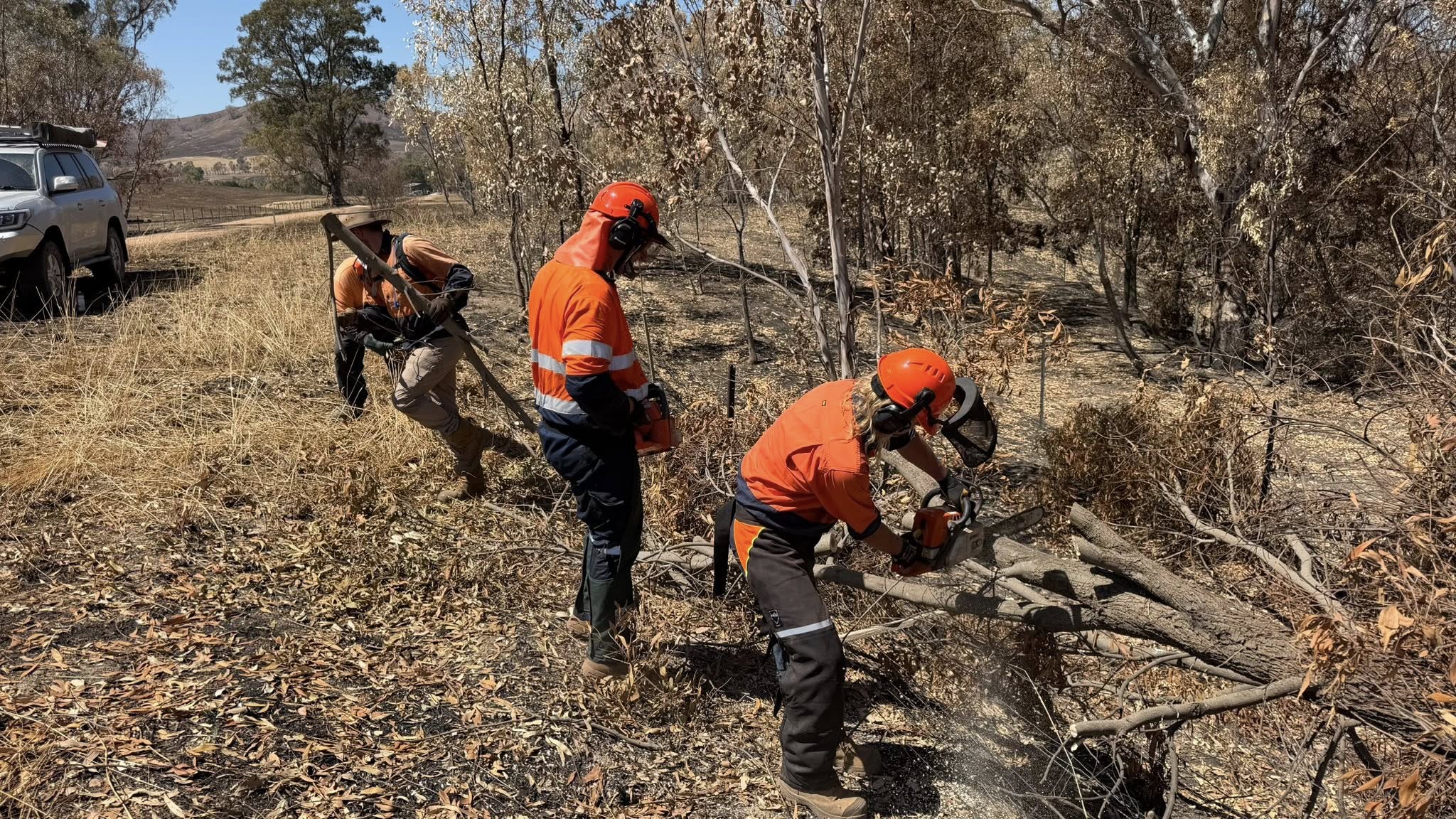 Bushfire recovery volunteers